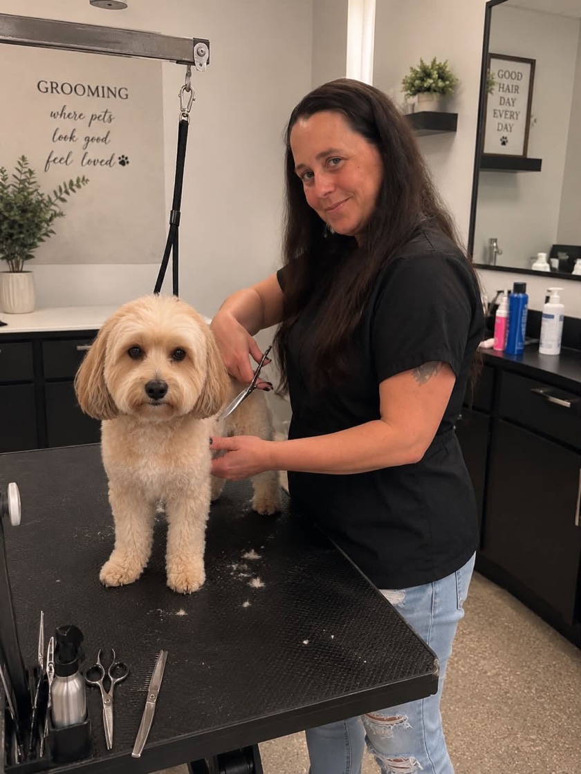 Grooming a doodle at the For Pup Sake salon